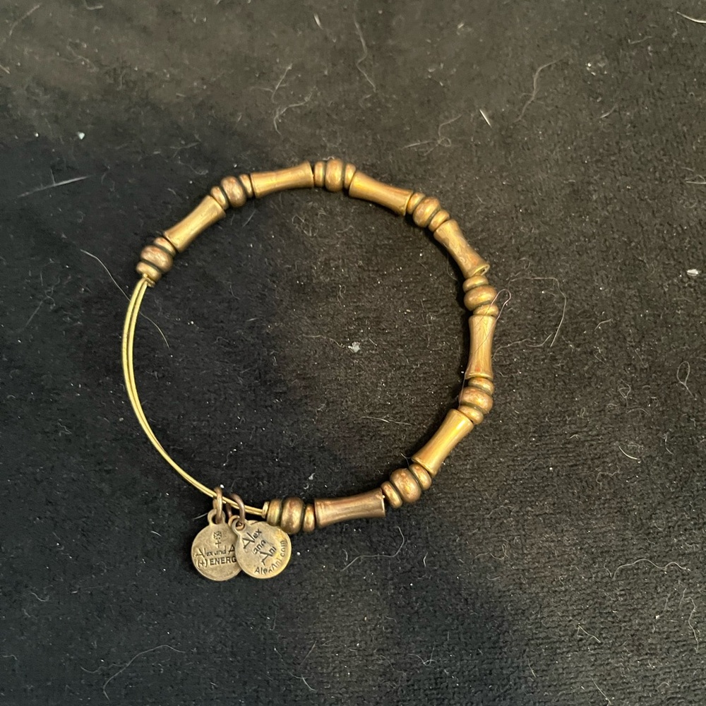 Alex and Ani bamboo bracelet
